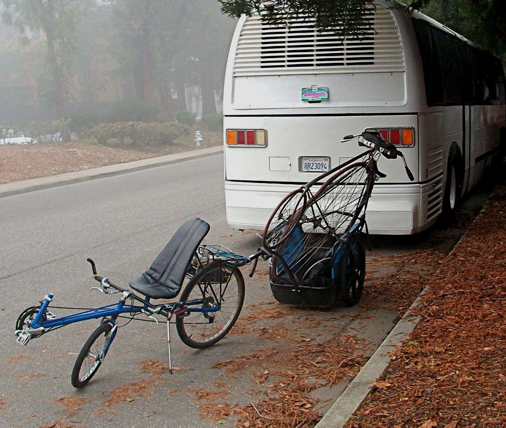bicycle carts for adults