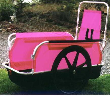special needs bicycle trailer